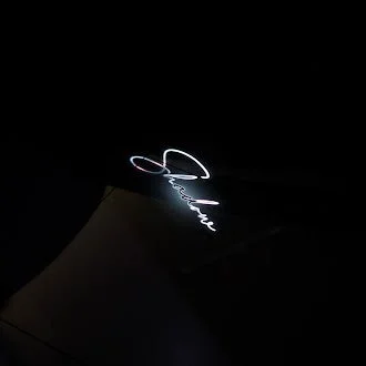 Shadow Logo Calligraphy