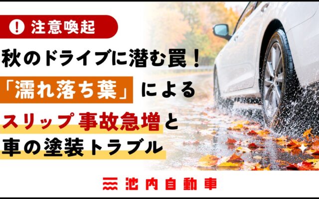 【注意喚起】秋のドライブに潜む罠！「濡れ落ち葉」によるスリップ事故急増と車の塗装トラブルを板金塗装専門店が解説！秋のキャンペーンも開始！